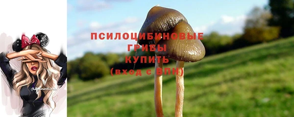 дурь Белокуриха