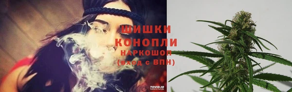 дурь Белокуриха