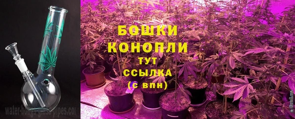 дурь Белокуриха
