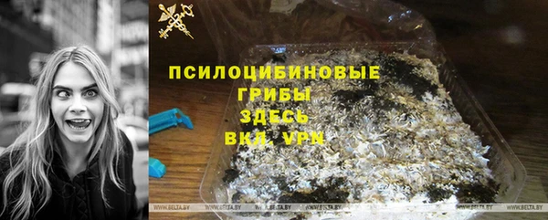 дурь Белокуриха