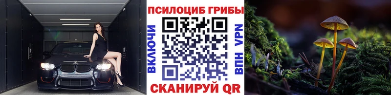 Галлюциногенные грибы мицелий  Кяхта 